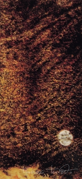 Vento lunare, 1988