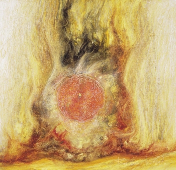 Rivelazione funesta, 1992