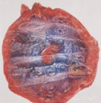 Occhio abissale, 1990