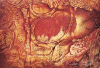 Vaginale, 1992-93