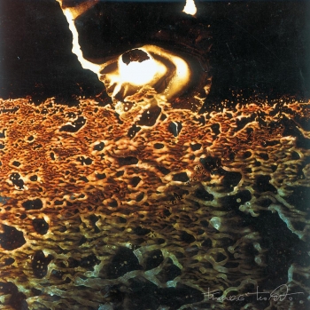 Osservatore spaziale, 2000