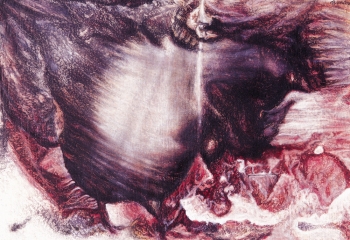Apici retrattili, 2001