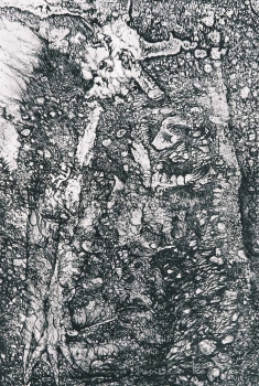 Disinabissata, 1999