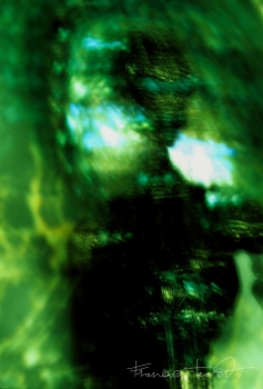 Saturno n. 2 , 2009