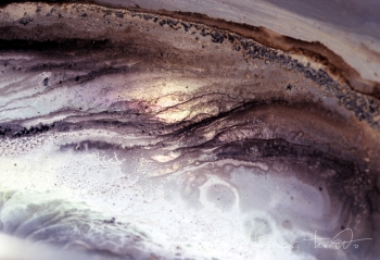 Avamposto Orione, 2010