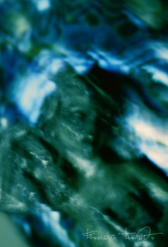 Dislocazione n. 2, 2010