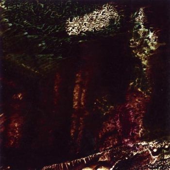 Portale, 2010