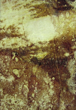 Portale n. 6, 2010