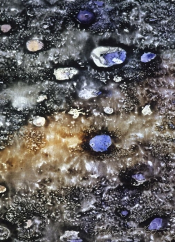 Magma stellare, 2010