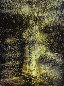 Presenze, 2009