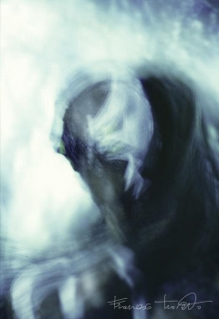 Aracon, 2010