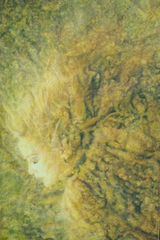 Dissoluzione, 2010