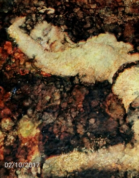 Effetto Dioniso